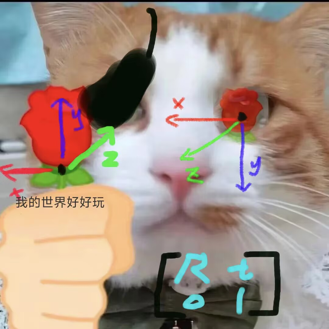 bigcat_watchingYou